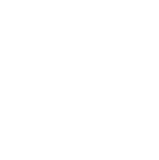 linkedin icon